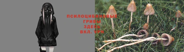 СК Аша