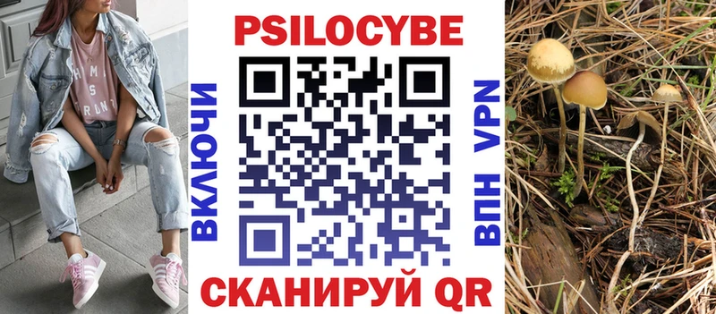 Галлюциногенные грибы Psilocybine cubensis  Вязьма 