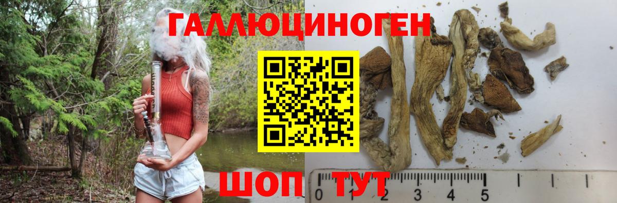 Галлюциногенные грибы Psilocybe Вязьма