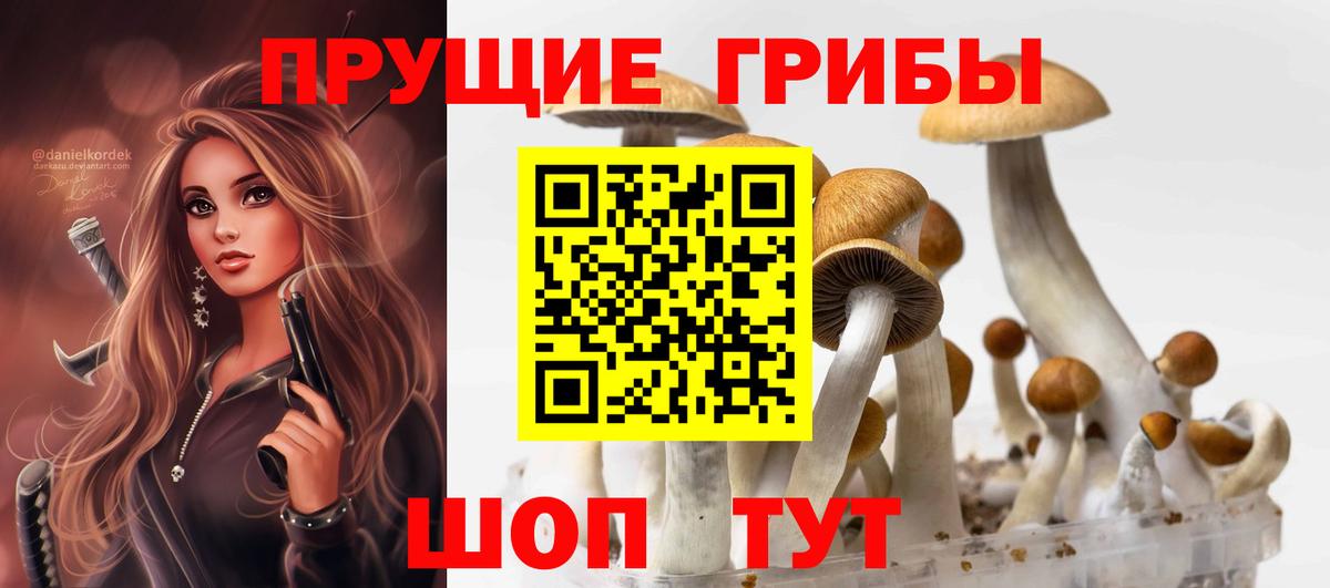 Вязьма  Псилоцибиновые грибы мицелий  Псилоцибиновые грибы мицелий  Вход с VPN 