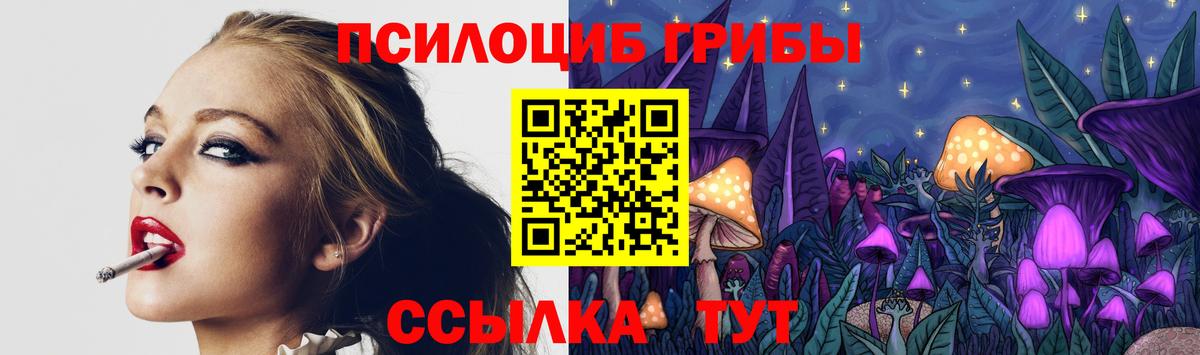 где купить наркоту  Вязьма  Галлюциногенные грибы Psilocybine cubensis 